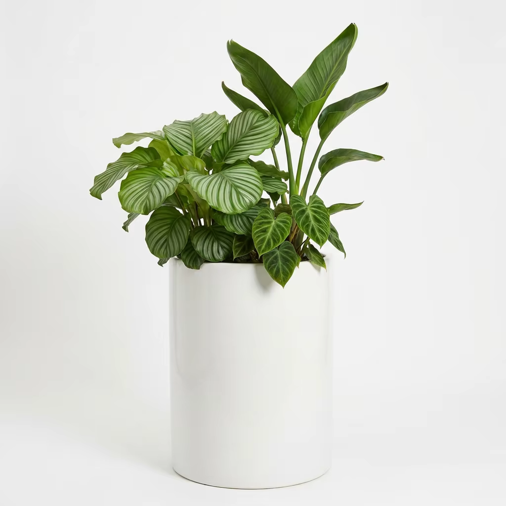 White Ceramic